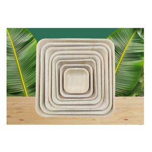 Assiettes en bambou carrées de 10 pouces de haute qualité assiettes en bois de feuille de palmier Areca biodégradables et jetables pour les fêtes d'événements d'entreprise - Product Image 1