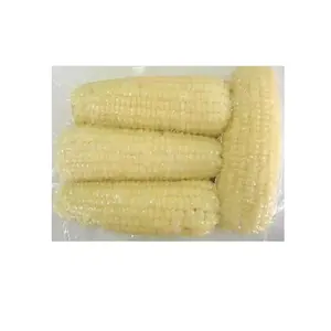 Maïs blanc sans OGM (maïs blanc), maïs blanc Fournisseurs - Product Image 6