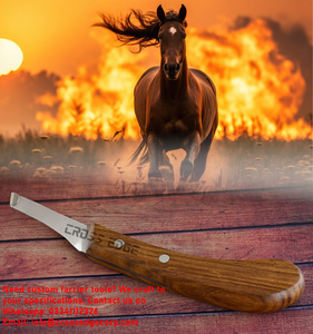 Herramientas profesionales Ferrier, cuchillo para pezuña, hoja recta, bordes afilados, mango de madera de alta calidad, fácil agarre, recorte rápido, acero inoxidable - Product Image 4