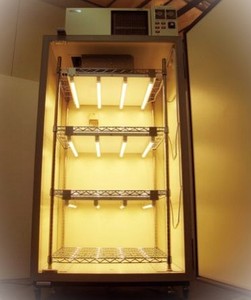 Lớn Nhật bản LED lồng ấp buồng tĩnh nhiệt phòng thí nghiệm thiết bị với nhiệt độ kiểm soát độ ẩm garminate cụ - Product Image 3