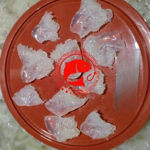 แมงกะพรุนแช่แข็งแบบมีเกลือ เกรดสะอาดพิเศษ ธรรมชาติจากทะเล เหมาะสำหรับความต้องการทั่วโลก เนื้อสัมผัสสดใหม่ คุณภาพเยี่ยม อัล ทาวาคัล เอฟเอฟ - Product Image 6