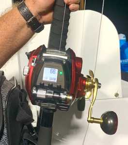 Discounts Promo! Sales Seaborg G1800M-RJ Electric <b>Reel</b>, 100% Original Factory Sealed with 1 Year Warranty. - Product Image 6