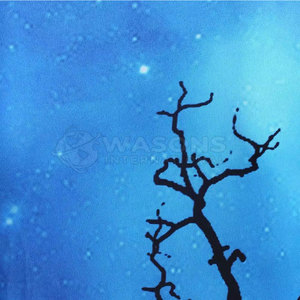 เสื้อยืดผู้ชายแบบซับลิเมชั่นที่น่าดึงดูดใจ พิมพ์ลายมีสไตล์ สวมใส่สบาย ใช้ได้ทุกวัน สัมผัสนุ่ม สวมใส่ง่าย - Product Image 3