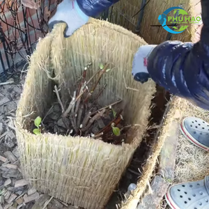 Top Product SEDGE MAT / Palm Mat Sedge Mats: Essential Wind Protection for Young Plants with Best Price - Product Image 6