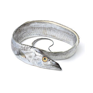 Premium frozen sabrefish suministro a granel al por mayor auténtica calidad seca - Product Image 5