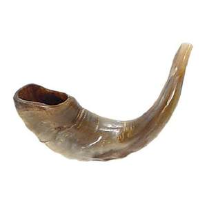 Corne casher yéménite de haute qualité Shofar corne à boire polie - Product Image 2