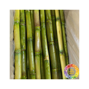 Top Grade Frozen Sugarcane <b>Sticks</b> 100 Percent Fresh Cut Sweet Press Juice Suitable for Smoothies Drinks <b>Cocktails</b> Daily Use - Product Image 3
