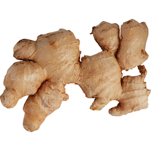 Jengibre fresco de exportación de alta calidad jengibre elefante fresco de proveedor de jengibre fresco/jengibre fino/jengibre gordo - Product Image 1