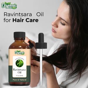 Huile biologique de Zing Ravintsara 100% Pure et naturelle Prix le plus bas Emballage personnalisé disponible - Product Image 4