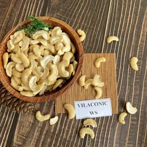 NATURAL ORGANIC SPECIALTY CASHEW NUTS WHOLESALE HIGH QUALITY DRY NATURAL SALT ALL TYPE SP LP WW180 WW240 WW320 EXPORT IN BULK