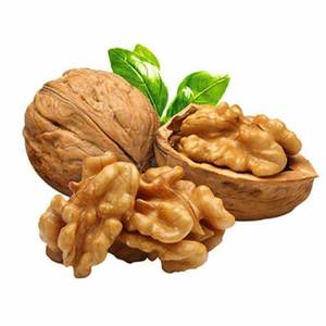 Noix séchées biologiques de la plus haute qualité en coque Noix de haute qualité en vrac Noix naturelles - Product Image 1