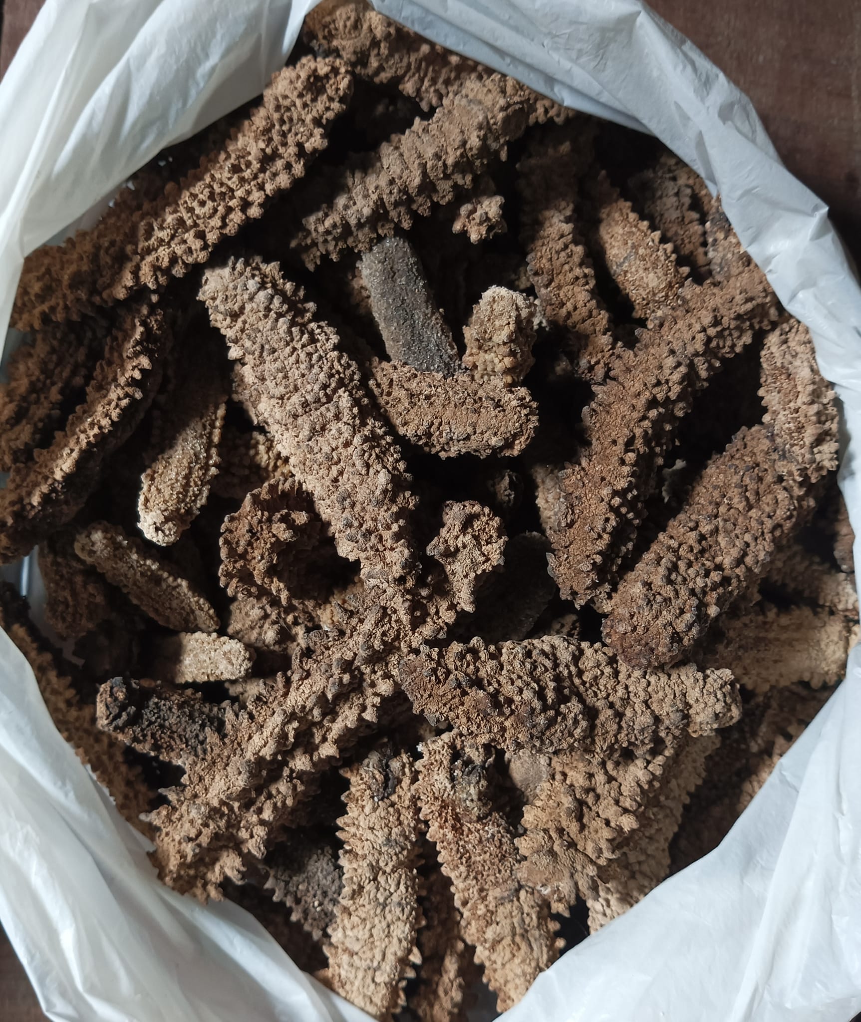 High Grade Wholesale Premium Sea Cucumber Dried Sea Cucumber Product