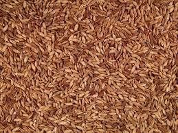 Orge maltée de qualité supérieure à vendre - Product Image 6