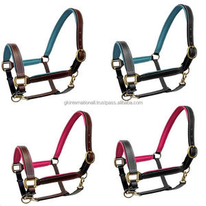 Rembourrage coloré et coutures durables licou de cheval en cuir de selle véritable robuste avec matériel en laiton dans les tailles Cob complètes - Product Image 3