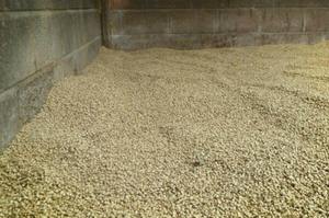 Copeaux de bois de pin de qualité standard Sciure de bois pour litière pour chevaux Spécifications personnalisées Fabriqué en France Durée de conservation de 24 mois Modèle SX4 - Product Image 4