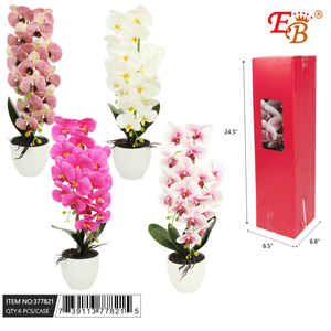 กล้วยไม้สดขนาด 6.5"X6.8"X24.5" แบบเหมือนจริง ชุด 6 ชิ้น/แพ็ค - Product Image 1