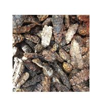 ESSENCE DE PLANTE TRANCHE NONI/LIGNE DE FORMULE PROPRE/FORME SÉCHÉE