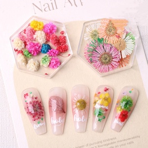 Los últimos productos para <span class=keywords><strong>uñas</strong></span> <span class=keywords><strong>Flores</strong></span> secas Mini Real Natural Flower 3D Nail Charms - Product Image 2
