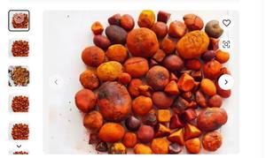 Compra a granel de piedras biliares de vaca/cálculos biliares de buey en venta 4900kg - Product Image 2