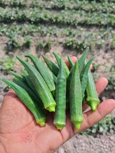เมล็ดกระเจี๊ยบอ่อนอันมอล - Product Image 3
