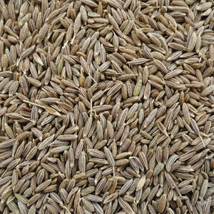 เมล็ดยี่หร่าดิบคุณภาพสูง |   เมล็ดยี่หร่าอบแห้งด้วยแสงแดด 100% บริสุทธิ์และเป็นธรรมชาติ จากอินเดีย สำหรับอุตสาหกรรมอาหารและเครื่องเทศ น้ำหนัก 1 กก. RAAVI EXPORTS - Product Image 3