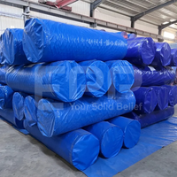 200gsm Vietnam Étanche Durable Robuste PE Enduit Vierge LLDPE Bâche avec Protection UV pour Piscine Maison Textile Tente Utilisation