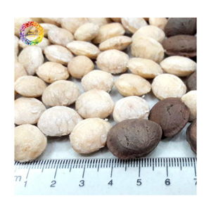 Graines de Sacha Inchi de qualité assurée, usine de graines de Sacha Inchi au Vietnam, huile de Sacha Inchi en gros, noix et noyaux - Product Image 4