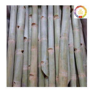 แท่งหวานฉ่ำแช่แข็งแบบเวียดนามสำหรับตลาดเครื่องดื่มทั่วโลก - Product Image 4