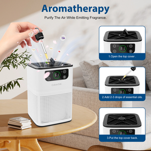 Purificador de Aire HEPA de Escritorio ZQA-3000A con Aromaterapia, Admisión de Aire a 360°, Instalación Portátil, USB, Enchufe Estadounidense, Función WiFi, Certificado ROHS - Product Image 4