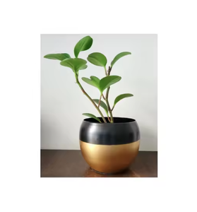 Pot de fleur de luxe de haute qualité et jardinière jardinières décoratives pour décor de jardin à la maison attrayant fini - Product Image 6