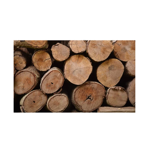 Bûches rondes d'eucalyptus-Haute densité et résistance - Product Image 2