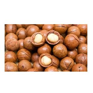Noix de macadamia grillées, noix brutes, haute valeur nutritive, en provenance de Belgique - Product Image 6