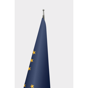 "Official Alaska Indoor <b>Flag</b>-Custom Design Digital Printing Aluminum Fiberglass <b>Pole</b> Pennant Style Cotton Plastic Polyester Silk - Product Image 3