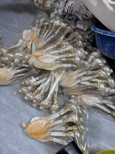 Cuchara de Nácar de Vietnam, Cuchara de Concha Pulida, Producto Artesanal de Alta Calidad, Pedido al por Mayor para Importadores Globales - Product Image 4