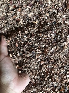 Guscio di Anacardio Naturale al 100% dal Vietnam, Materiale di Alta Qualità per Mangimi Animali con Lavorazione Pulita e Controllo Qualità - Product Image 6