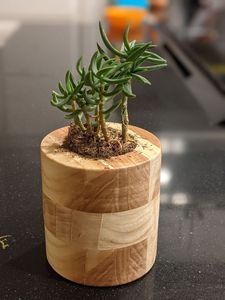 Maceta de madera SUSTANIBLE, maceta Wishing Well, decoración de jardín trasero, macetas de madera creativas, macetas de flores de corteza, jardín - Product Image 6