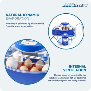 ตู้ฟักไข่ Lumia 8 Expert Dc 12V ควบคุมอุณหภูมิได้ดี ประสิทธิภาพสูง สำหรับไข่สัตว์ปีกขนาดเล็ก ฟักได้ 8 ฟอง ผลิตในอิตาลี - Product Image 5