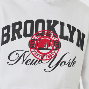 Unisex 500 Gsm French Terry Sudaderas de peso pesado en blanco Puff Print Sudaderas con capucha de gran tamaño 100% algodón XL Tamaño Sudaderas con capucha personalizadas - Product Image 5