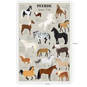 Modern Style Horses of the Earth <b>Poster</b> Featuring the Most Famous Horse Breeds for Wall Usage Paper Material - Product Image 3