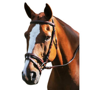 Red Barn Burghley Flash Bridle Seasonal Samosata Old Snake certificado ISO 9001 personalizable bajo petición envío al por mayor - Product Image 4