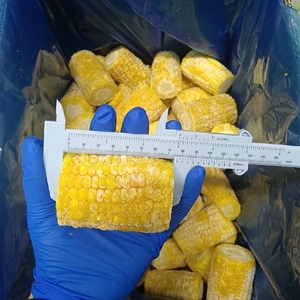 Maïs Sucré Entier Congelé LQF (Date) en Gros Sous Vide avec Préservation de l'Eau en Vrac - Product Image 2