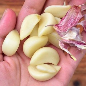 High Quality New Crop <b>Fresh</b> <b>Garlic</b> Original Supplier Wholesale Price Normal White <b>Garlic</b> - Product Image 4