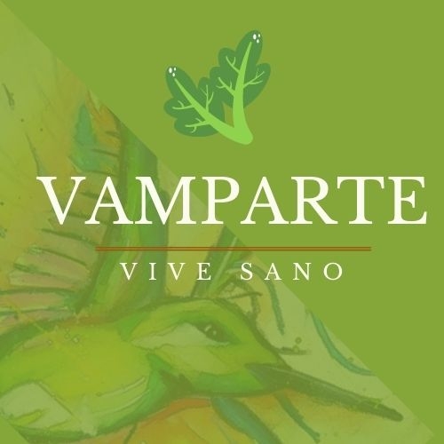 VAMPARTE SNACKS logo