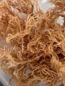 Ietnamese-seamoss secos, mejor calidad, precio barato - Product Image 4