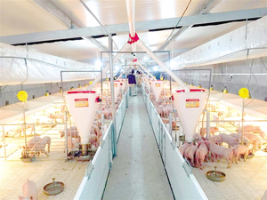 Hayvanlar ve Kümes Hayvanları için Yemlik Konsantre Soya Proteini %65 CSP - Product Image 4