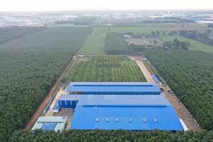 น้ำผลไม้แคลมอนซีผสมโซดาบรรจุขวดพลาสติก PET ขนาด 330 มล. ผลิตในเวียดนาม - Product Image 3