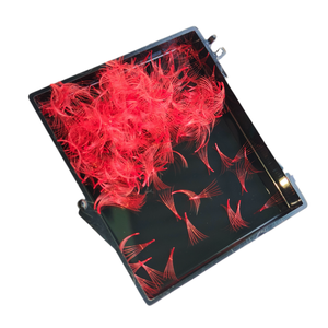 Nuevas Extensiones de Pestañas Postizas Coreanas de Fibra PBT 6D de Volumen Completo Hechas a Mano, 1000 Fans/Caja, Sueltas, 0.03mm, Pestañas Nhu Y Hechas en Vietnam - Product Image 3