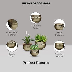 Lujo en flor Golden Glow Powder Coated Gold Macetas Must-Have Home and Garden Glamour para sus plantas - Product Image 2