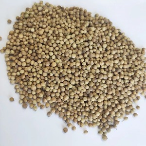 Semillas de cilantro de calidad superior Semillas de especias de cilantro secas enteras naturales Fabricante y exportador de especias culinarias principales - Product Image 6