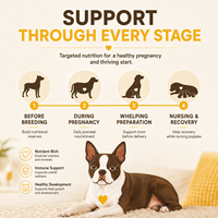 Soins de mise bas pour chiens : Vitamines prénatales à croquer pour chiennes allaitantes, favorisant la production de lait, marque privée, vente en gros, en vrac, directement de l'usine